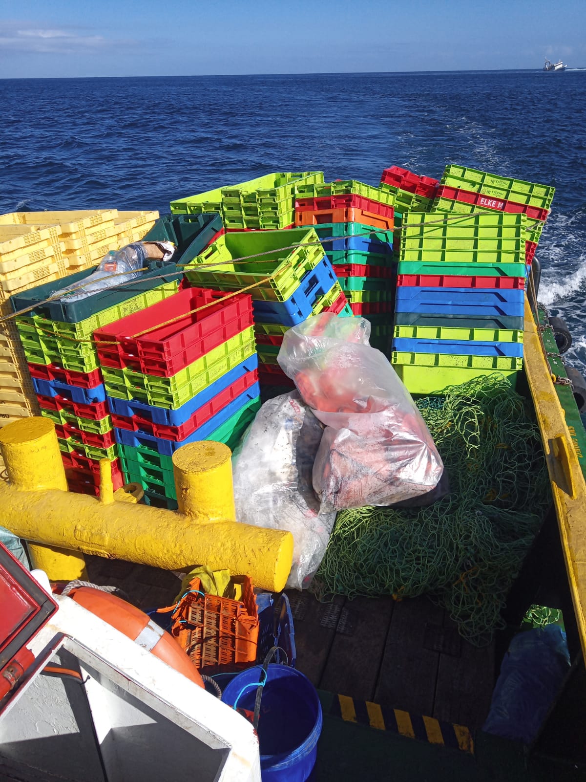 WhatsApp Image 2024-06-03 at 15.14.56_61b74882