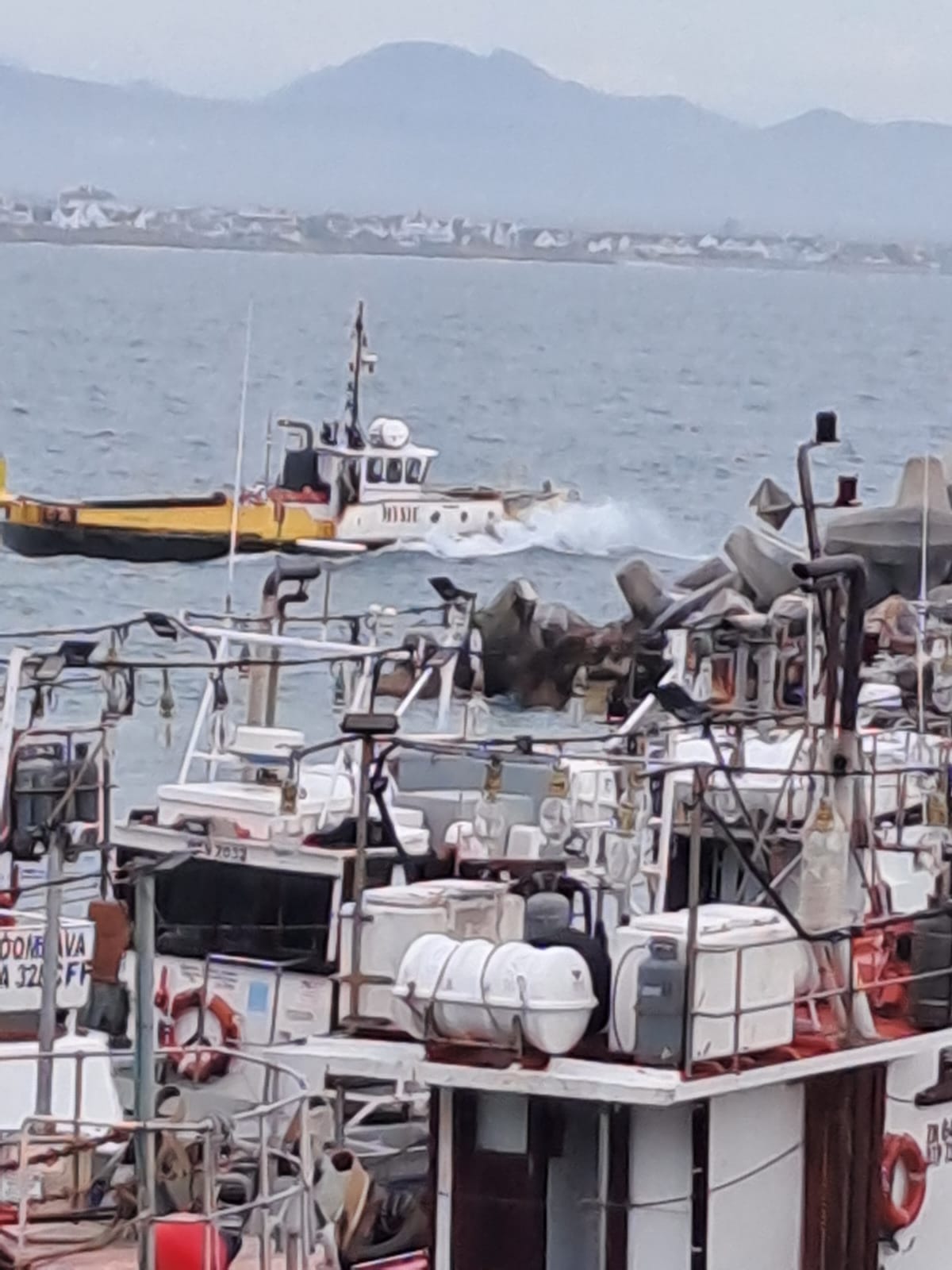 WhatsApp Image 2024-06-03 at 15.40.36_f67e5c7a