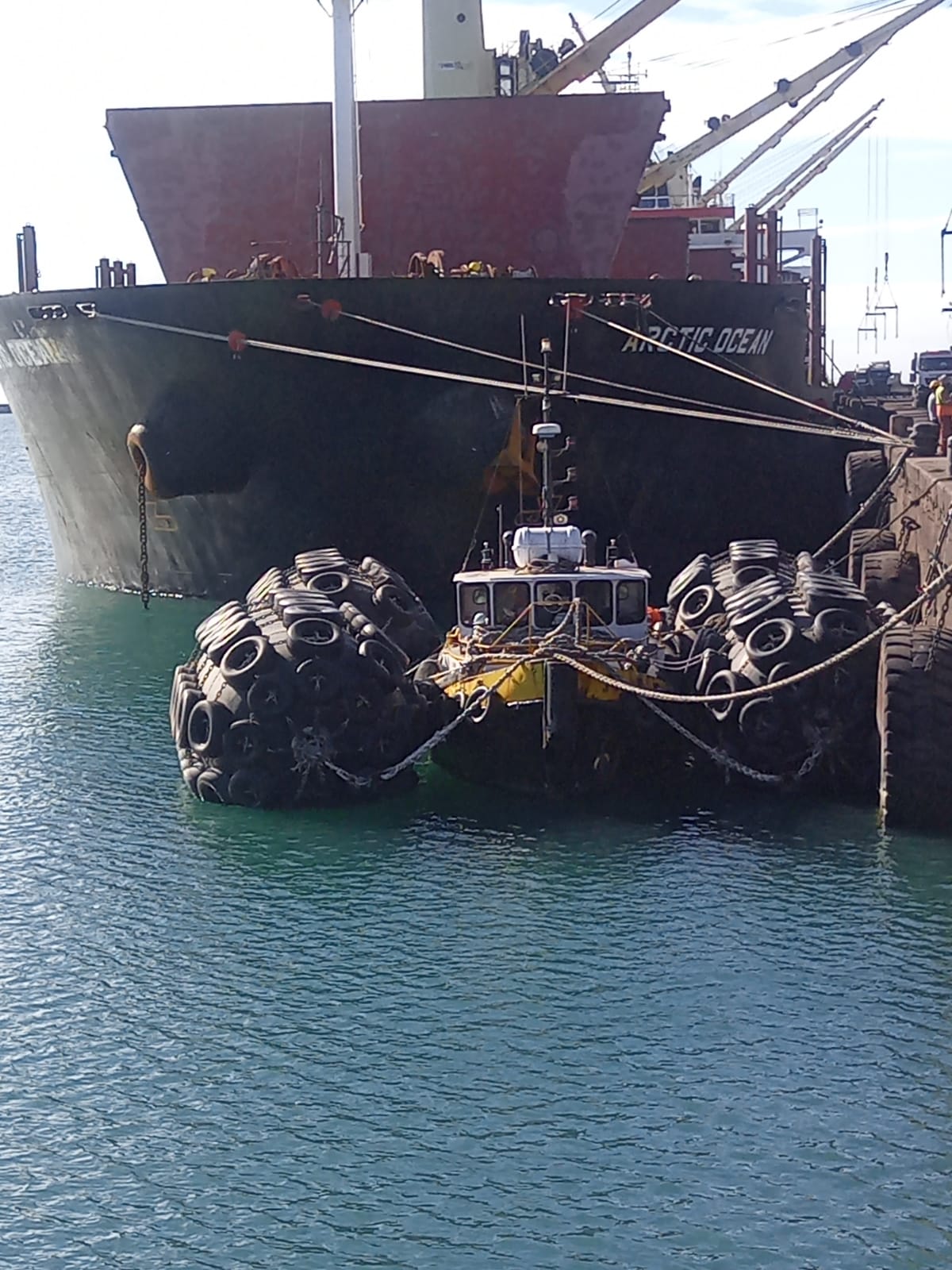 WhatsApp Image 2024-08-15 at 19.57.09_1dda368f